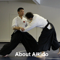 About Aikido